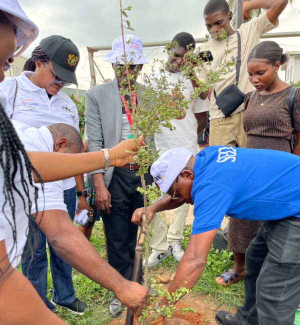 World Environment Day Activity