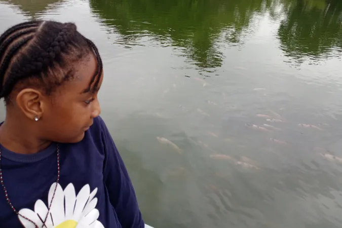A Day Out With Nature 2