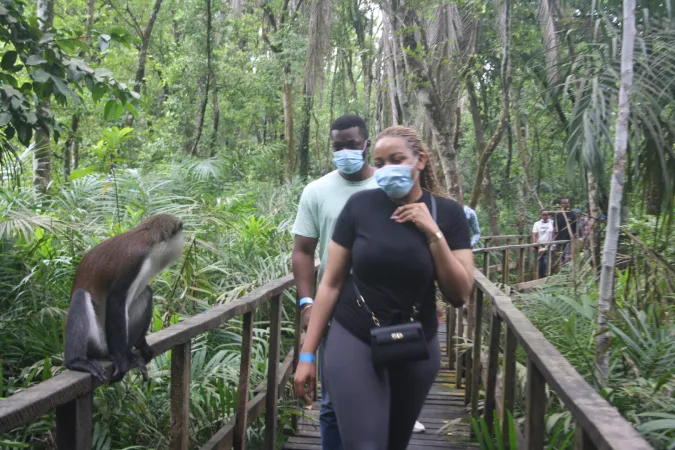 A Day Out With Nature 4